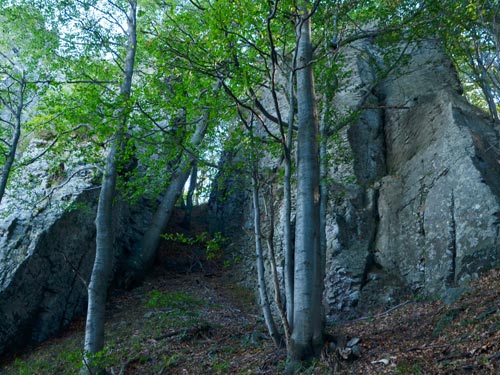 La nord de Sfinxul Oasului (c) Lucian Petru Goja